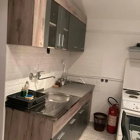 Apartment Djokic 1 *