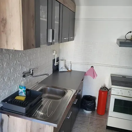 Apartment Djokic 1 *