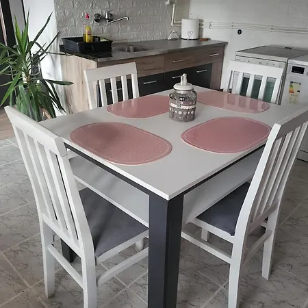 Djokic 1 Apartment *