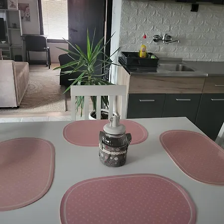 Apartment Djokic 1 Pozarevac