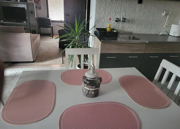 公寓 Djokic 1 Požarevac